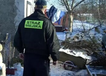 Mielec: W poszukiwaniu bezdomnych