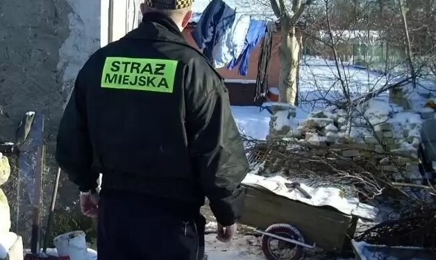 Mielec: W poszukiwaniu bezdomnych