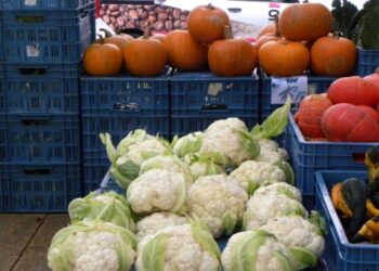 Tarnobrzeg. Powstanie jadłodzielnia?