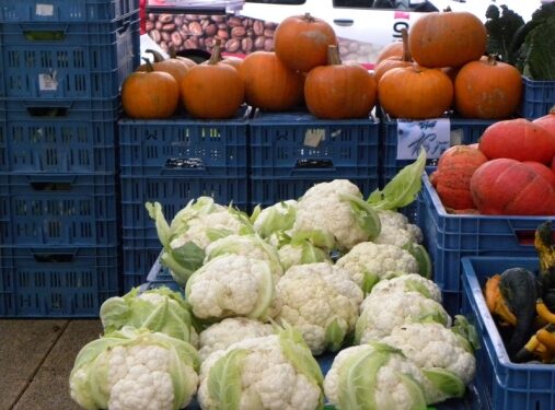 Tarnobrzeg. Powstanie jadłodzielnia?