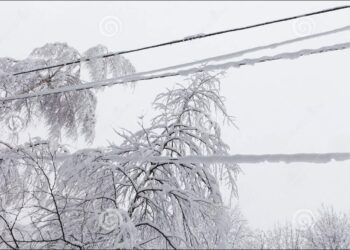 Mielec/Tarnobrzeg: Ok 4 tysiące odbiorców bez prądu po zerwaniu linii energetycznych