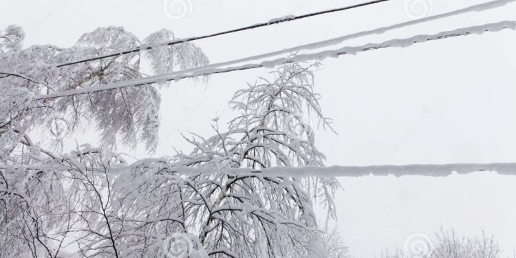 Mielec/Tarnobrzeg: Ok 4 tysiące odbiorców bez prądu po zerwaniu linii energetycznych