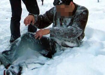 Tarnobrzeg. Lawina groźnych przypadków.