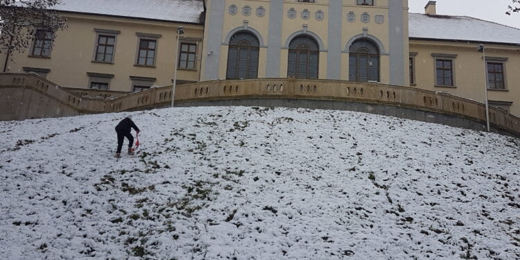 Tarnobrzeg. W muzeum nadgonili zaległości. Teraz zapraszają do zwiedzania.