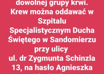 Sandomierz: Krew pilnie potrzebna!