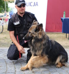 Sandomierz: Legalna emerytura dla psich funkcjonariuszy.