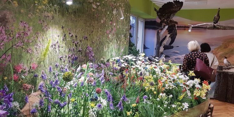 Tarnobrzeg. Urodziny Centrum Natura 2000.