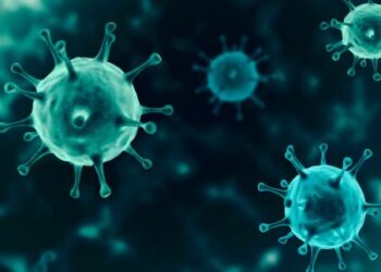 Region: 205 zakażeń na Podkarpaciu, 162 – w świętokrzyskim.