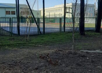 Mielec:  Po 11-te…. Szanuj mienie i pracę  bliźniego swego
