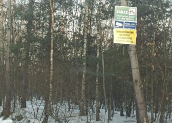 Wadowice Górne: Być może jesteś w ukrytej kamerze