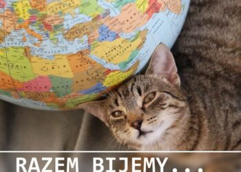 Mielec: Próba  pobicia światowego rekordu