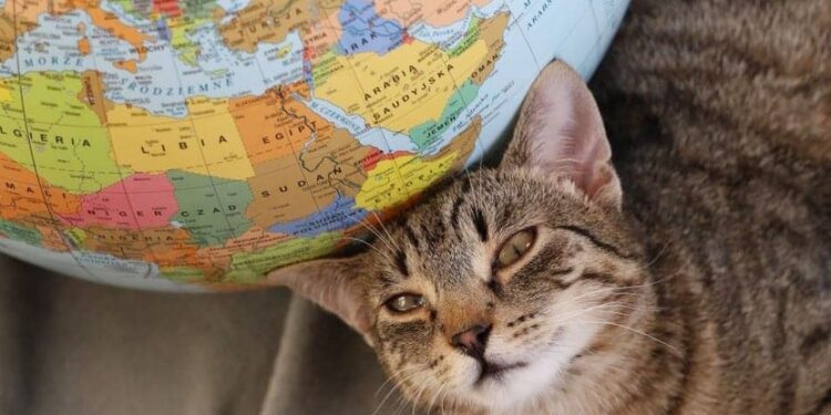 Mielec: Próba pobicia światowego rekordu