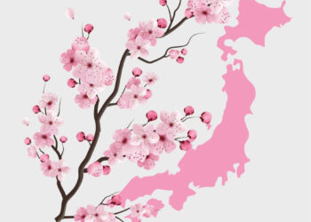 Stalowa Wola: Podróż do Japonii