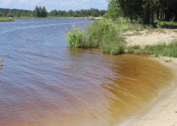 Nisko: Woda w zbiorniku na Podwolinie zawiera borowinę