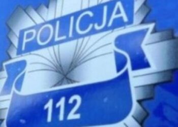 Grębów: Przywłaszczył znaleziony portfel. Teraz odpowie przed sądem.