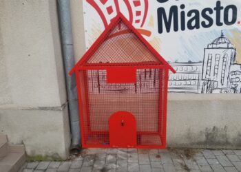 Stalowa Wola: Pomóż bezdomnym zwierzakom wrzucając nakrętki do StalowejBudki