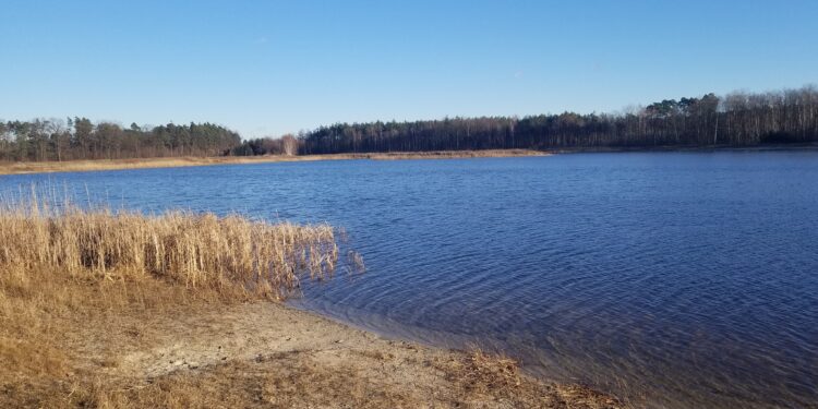 Mielec: Czekamy na Fundusze Norweskie