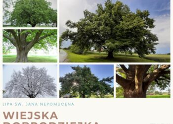 Mielec:  Potrzebujemy Waszych  głosów.