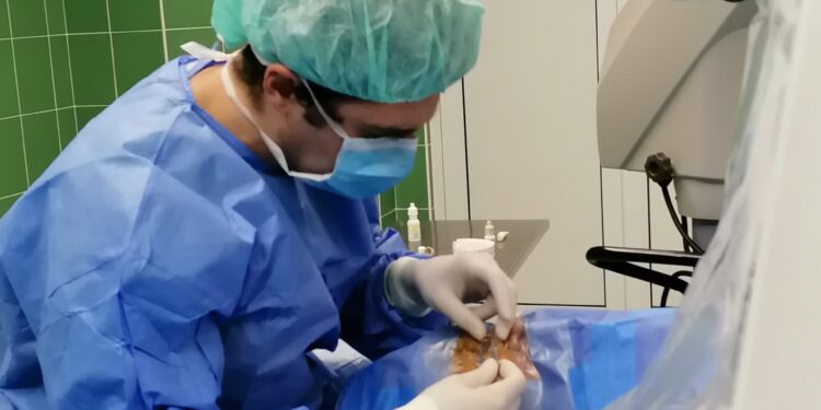 Mielec: Można się zgłaszać na operacje zaćmy.