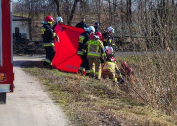 Wrzawy: Zwłoki w stawie.