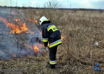 Tarnobrzeg. To zagrażający życiu proceder. Najwięcej zdarzeń w Wielowsi.