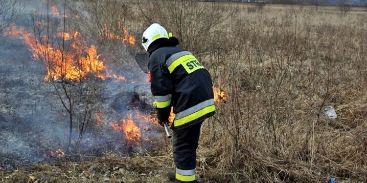 Tarnobrzeg. To zagrażający życiu proceder. Najwięcej zdarzeń w Wielowsi.