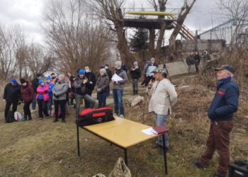 Tarnobrzeg. Chcą by Wisła pozostała dzika