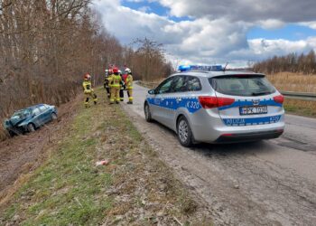 Dąbrowica: Auto uderzyło w drzewo.
