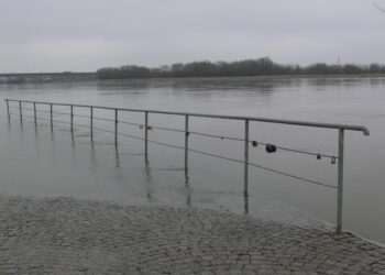 Zawichost, Sandomierz: Mimo przekroczonego stanu ostrzegawczego w Zawichoście jest bezpiecznie.