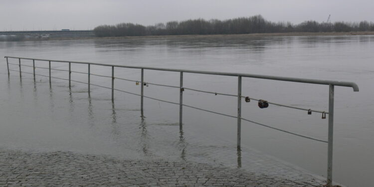 Zawichost, Sandomierz: Mimo przekroczonego stanu ostrzegawczego w Zawichoście jest bezpiecznie.