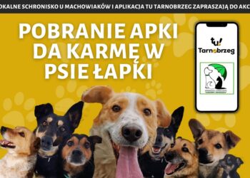 Tarnobrzeg, region. Zainstaluj bezpłatną aplikację i wesprzyj „Machowiaków”.