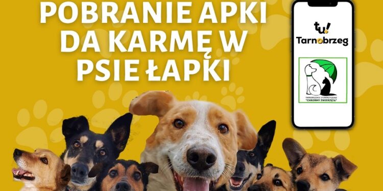 Tarnobrzeg, region. Zainstaluj bezpłatną aplikację i wesprzyj „Machowiaków”.