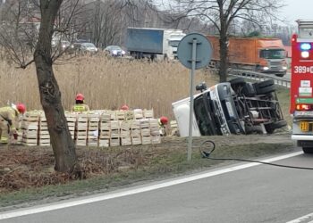 Skopanie. Samochód dostawczy zjechał z jezdni i przewrócił się na bok