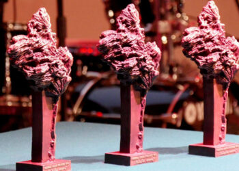 Stalowa Wola: Lista zgłoszeń do Gałązki Sosny zamknięta