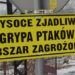 Mielec: Wysoce zjadliwa grypa obok powiatu mieleckiego
