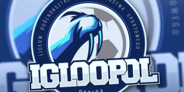 Dębica: Powstanie Szkoła Mistrzostwa Sportowego