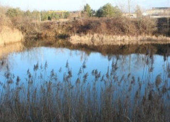 Mielec: Nie pomógł doliczony czas