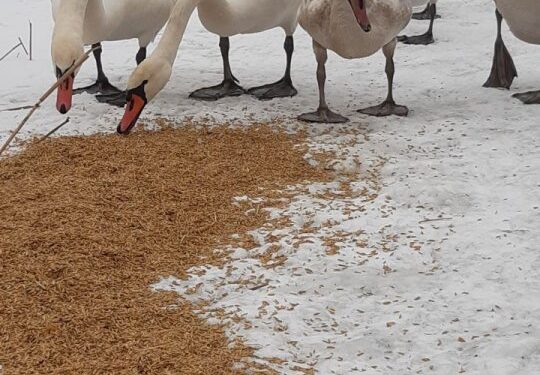 Padew Narodowa: Pospieszyli im z pomocą…
