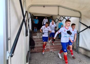 Sandomierz: Kiermasz dla Bartusia.