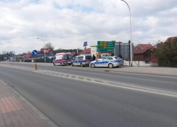 Tarnobrzeg. Śmierć przy drodze.