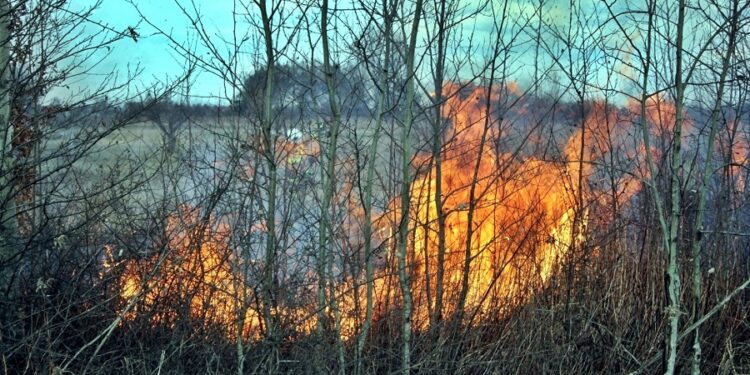 Tarnobrzeg, powiat tarnobrzeski. Trzy pożary.