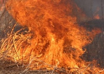 Tarnobrzeg. Zaczęło się. Płoną trawy.