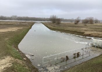 Tarnobrzeg. Woda nie zagraża.