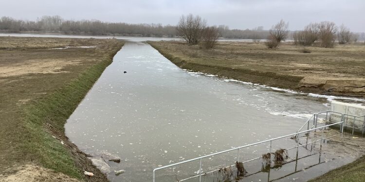 Tarnobrzeg. Woda nie zagraża.