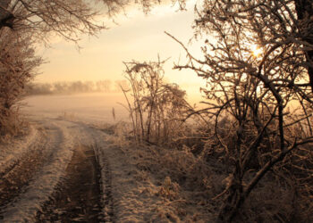 Nisko: Powiat Niżański ZIMĄ