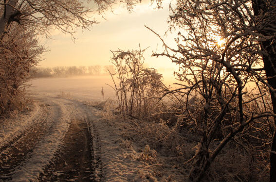 Nisko: Powiat Niżański ZIMĄ