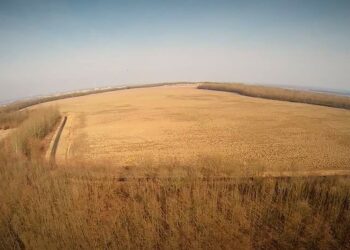 Baranów Sandomierski. Na zwałce można budować farmy fotowoltaiczne