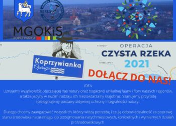 Koprzywnica; W sobotę operacja „Koprzywianka”.