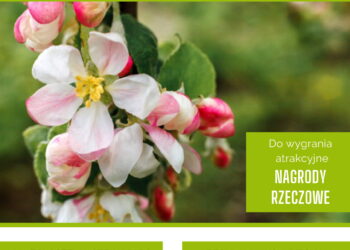 Samborzec: II Konkurs fotograficzny pt. „Kwitnąca Jabłoń”.