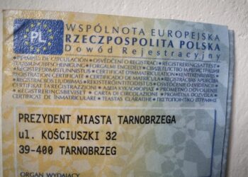 Nowa Dęba. Także tu zarejestrujesz swój samochód?